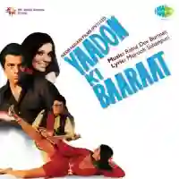 Yaadon Ki Baaraat 1973 cover image