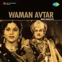 Waman Avtar 1995 cover image