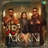 Morni - Raftaar 2024 cover image