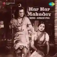 Har Har Mahadev cover image