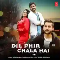 Dil Phir Chala Hai - Anurag Sinha 2022 cover image