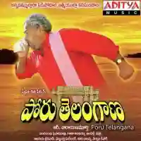 Poru Telangana 2011 cover image