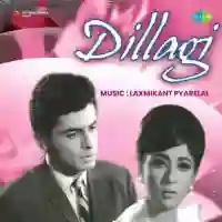 Dillagi 1966 cover image