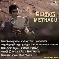 Methagu 2021 cover image