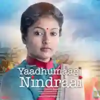 Yaadhumaagi Nindraayadi cover image