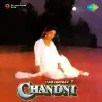 Chandni 1989 cover image