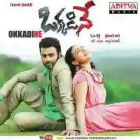 Okkadine 2013 cover image