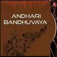 Andhari Bandhuvaya 2010 cover image