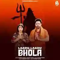 Laadu Laadu Vs Bhola - Dr. Sandeep Surila 2024 cover image