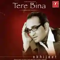 Tere Bina 2003 cover image