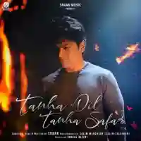 Tanha Dil Tanha Safar - Shaan 2021 cover image