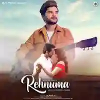 Rehnuma - Salman Ali 2022 cover image