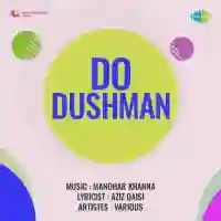 Do Dushman 1967 cover image