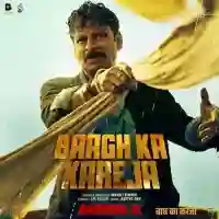 Baagh Ka Kareja cover image