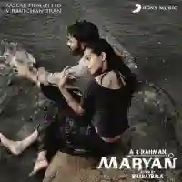 Maryan 2013 cover image