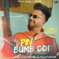 Pin Bumb Ddi - Parry Sidhu 2021 cover image