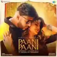 Paani Paani - Badshah 2021 cover image