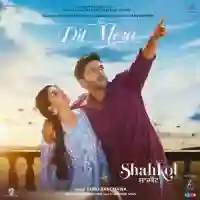 Dil Mera  - Guru Randhawa 2024 cover image