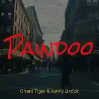 Paindoo - Ghani Tiger 2021 cover image