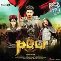 Puli (Telugu) 2010 cover image