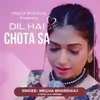 Dil Hai Chota Sa - Megha Bhardwaj 2022 cover image