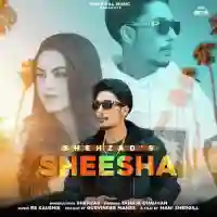 Sheesha - Shehzad 2021 cover image