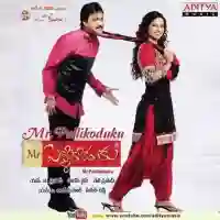 Mr. Pellikoduku 2013 cover image