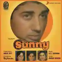 Sunny 1984 cover image