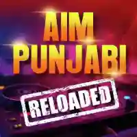 Aim Punjabi Reloaded 2023 cover image