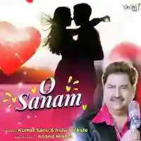 O Sanam - Kumar Sanu 2022 cover image