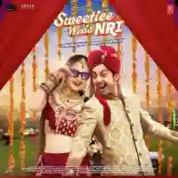 Sweetiee Weds NRI 2017 cover image