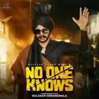 No One Knows - Gulzaar Chhaniwala 2022 cover image