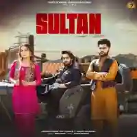 Sultan (feat. Vaishali Chaudhary) - Himanshu Kaushik 2024 cover image