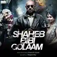 Shaheb Bibi Golaam 2016 cover image