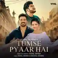 Tumse Pyaar Hai - Vishal Mishra 2021 cover image