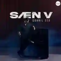 SAEN V 2024 cover image