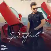 Perfect - Akhil 2021 cover image