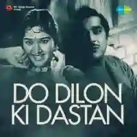 Do Dilon Ki Dastan 1966 cover image