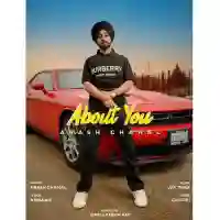 About You (feat. Jay Trak And Armaan) - Arash Chahal 2022 cover image