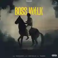 Boss Walk - Nirvair Pannu 2022 cover image