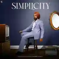 Simplicity 2024 cover image