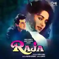 Raja 1995 cover image