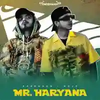 Mr. Haryana - Pardhaan 2021 cover image