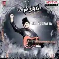 Mr. Nookayya 2012 cover image