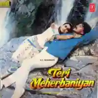 Teri Meherbaniyan 1985 cover image