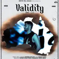 Validity - Opinder Dhillon 2024 cover image