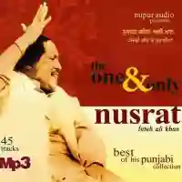 Nusrat - The One And Only Nusrat Fateh Ali Khan 2012 cover image