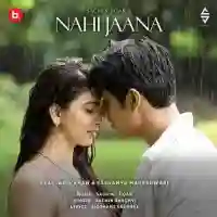 Nahi Jaana - Sachin Sanghvi 2021 cover image