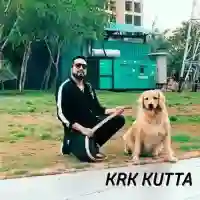 Krk Kutta - Mika Singh 2021 cover image