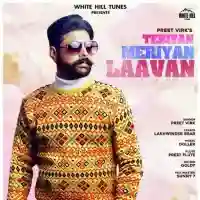 Teriyan Meriyan Laavan - Preet Virk 2021 cover image